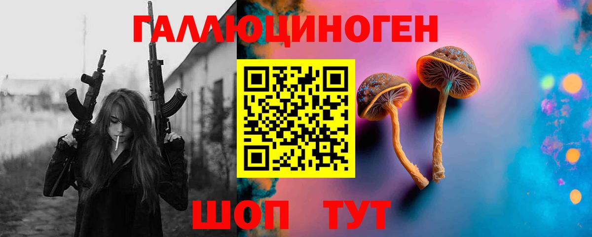 Псилоцибиновые грибы Psilocybe Снежинск