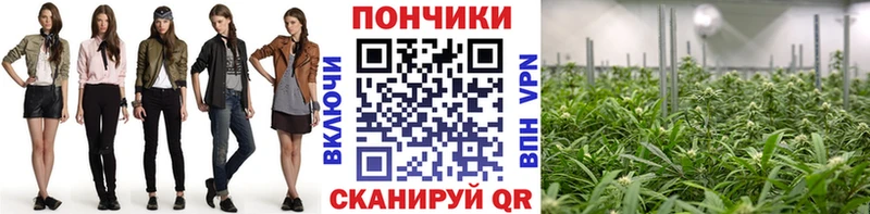 Марихуана семена  Снежинск 